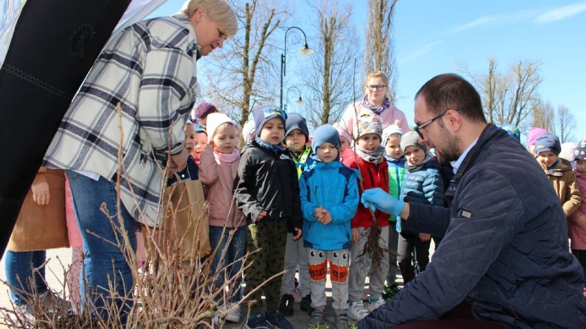 Ekologiczna akcja w Dąbrowie Białostockiej. Mieszkańcy pozytywnie zakręcili się na dęba 