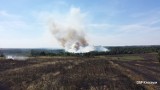 Pożar traw i nieużytków na granicy powiatu myszkowskiego i zawierciańskiego