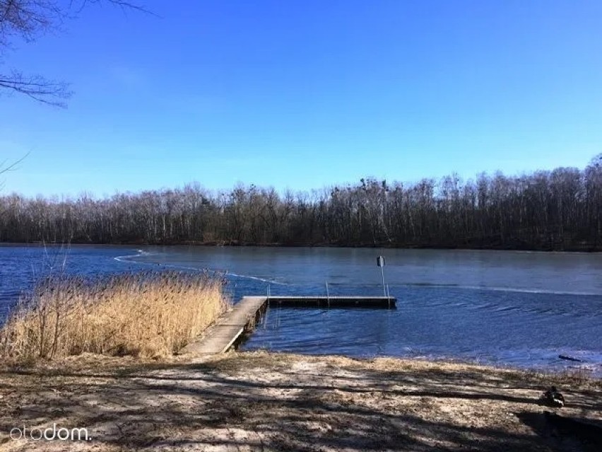 Działka rekreacyjna o powierzchni około 500 m2, usytuowana w...