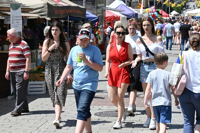 Rozpoczęło się Święto Kielc. Tłumy na Jarmarku przy ulicy Sienkiewicza. Zobacz zdjęcia