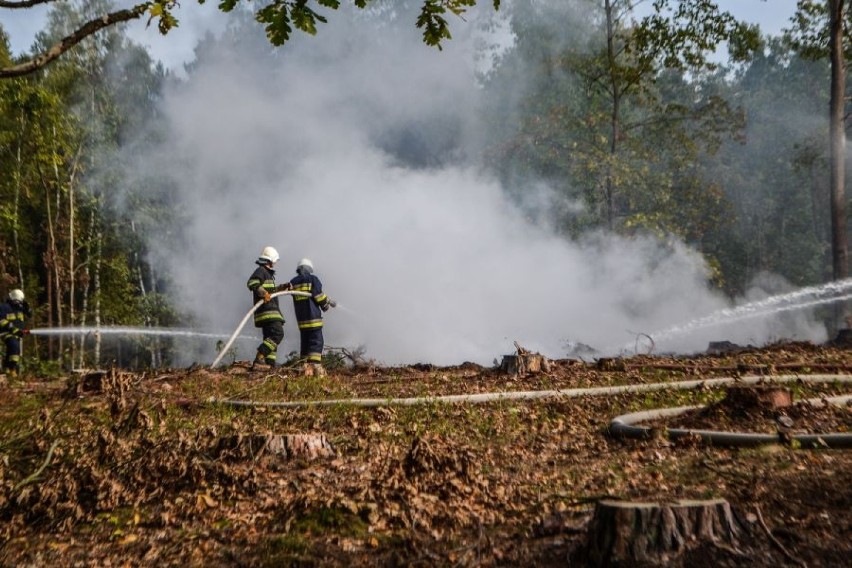 Pożar lasu- ćwiczenia strażaków