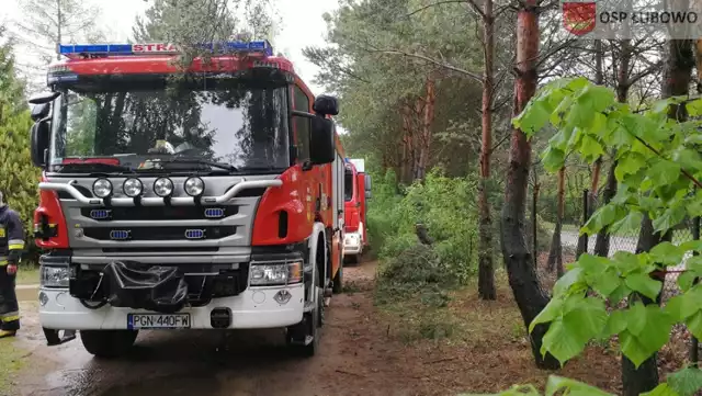 Zwłoki mężczyzny znalezione na terenie ogródków działkowych