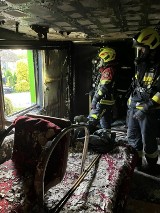 Pożar budynku mieszkalnego jednorodzinnego w miejscowości Owczegłowy