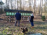 Nowe nasadzenia w puławskich lasach komunalnych. Leśna szkoła - niekonwencjonalny sposób nauki 