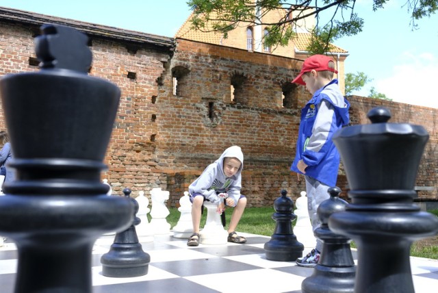 Dzieci i młodzież w Toruniu przez całe wakacje liczyć mogą na atrakcyjne zajęcia w placówkach kultury i obiektach sportowych