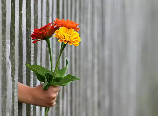 Życzenia na pewno już najbliżsi składali,
ale jest jeszcze jedna osoba, która o nich pamięta.
Ona właśnie Tobie chce życzyć: dużo zdrowia i słodyczy,
wielu wrażeń, miłych wspomnień,
aby się wszystkie marzenia się spełniły.
***
Urodziny, to czas wyjątkowy,
więc i prezent wyjątkowy mam dla Ciebie,
by Ci było niczym w niebie.
Życzę Ci chwil pełnych radości,
uśmiechu i miłości.
Niezapomnianych wrażeń
i spełnienia wszystkich marzeń.