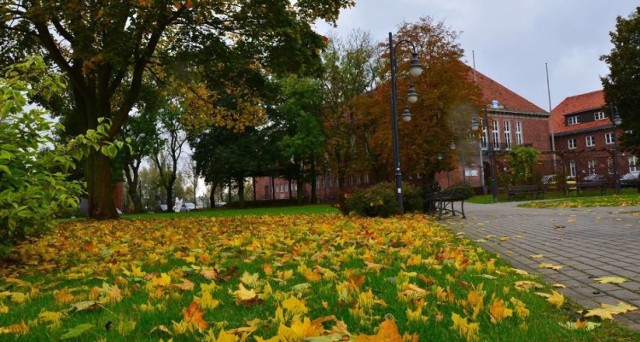 Nowy Dwór Gdański. Żuławski Ośrodek Kultury oraz Stowarzyszenie "Tujsk Sobie i Sąsiadom" nagrodzone grantem w IV edycji programu “Tu mieszkam, tu zmieniam”.