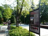 Wystawa pamięci Lecha Kaczyńskiego