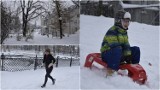 Urokliwa zima z w Parku Strzeleckim w Tarnowie. Dzieci bawią się na śniegu, dorośli spacerują, a niektórzy nawet uprawiają jogging