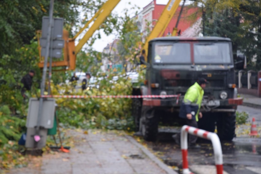 Trwa usuwanie szkód po Ksawerym [ZDJĘCIA]