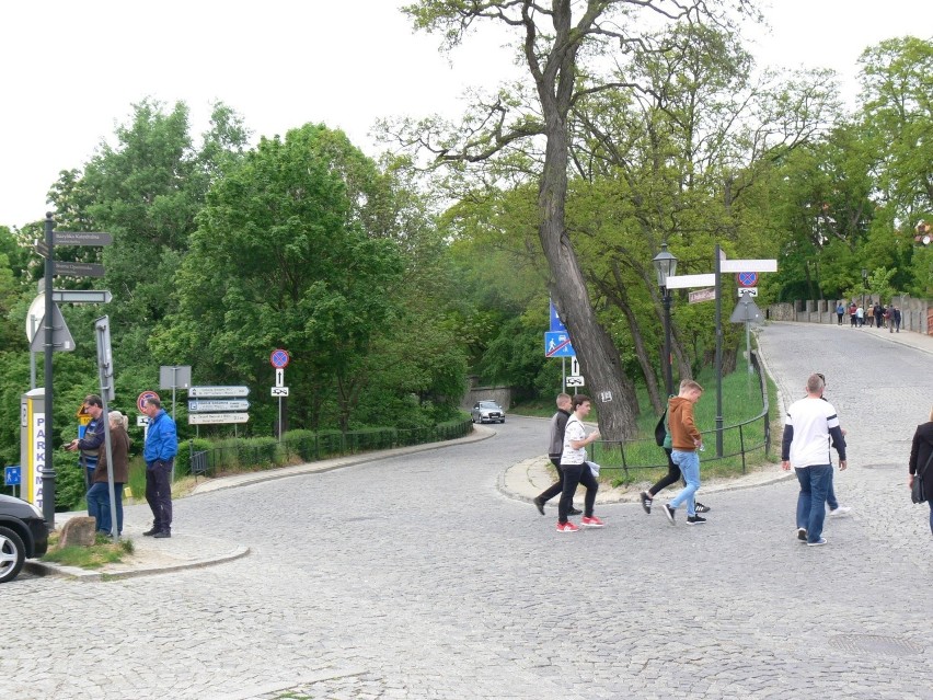 Turyści coraz chętniej przyjeżdżają do Sandomierza. Jest coraz więcej zwiedzających, znamy liczby [ZDJĘCIA]     