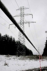 Drzewo groziło zerwaniem linii energetycznej w Parzniewicach