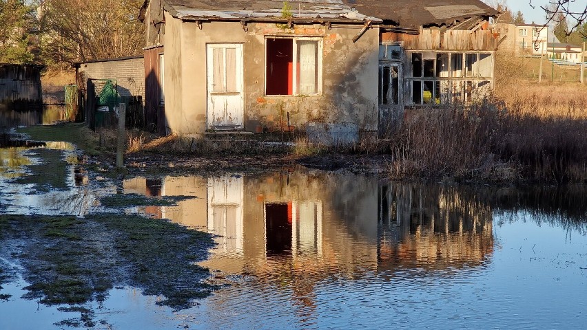 Luciąża zalała kilka domostw w Przygłowie, Pilica osiągnęła...