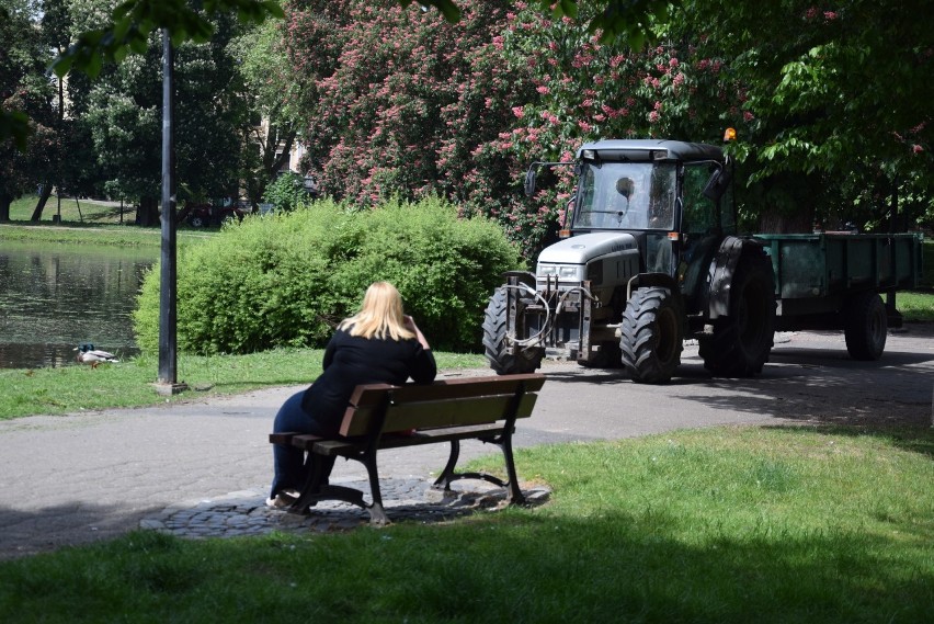 Rewitalizacja parku miałaby się zacząć w tym roku.