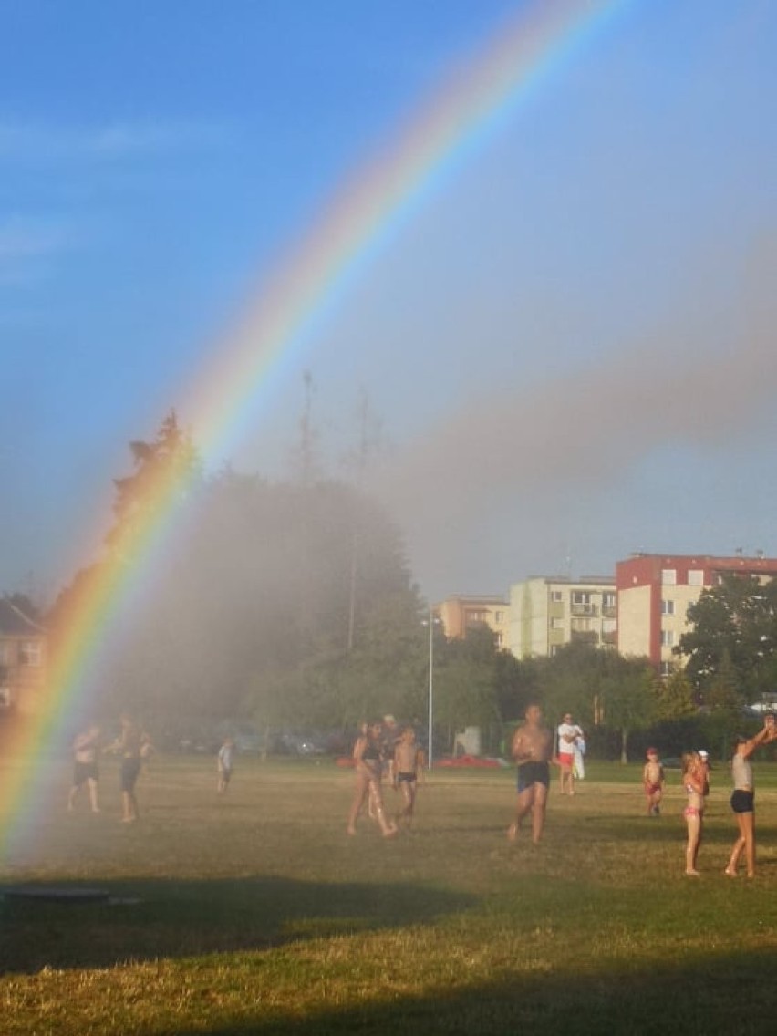 Plaża miejska "Łazienki". Uczta dla trawy, radość dla dzieci - 24 czerwca 2019