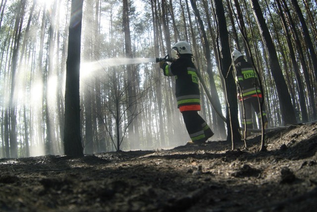 Pożar lasu! Trwa akcja gaśnicza w Rudnej i w Goli