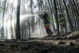 Pożar lasu! Trwa akcja gaśnicza w Rudnej i w Goli