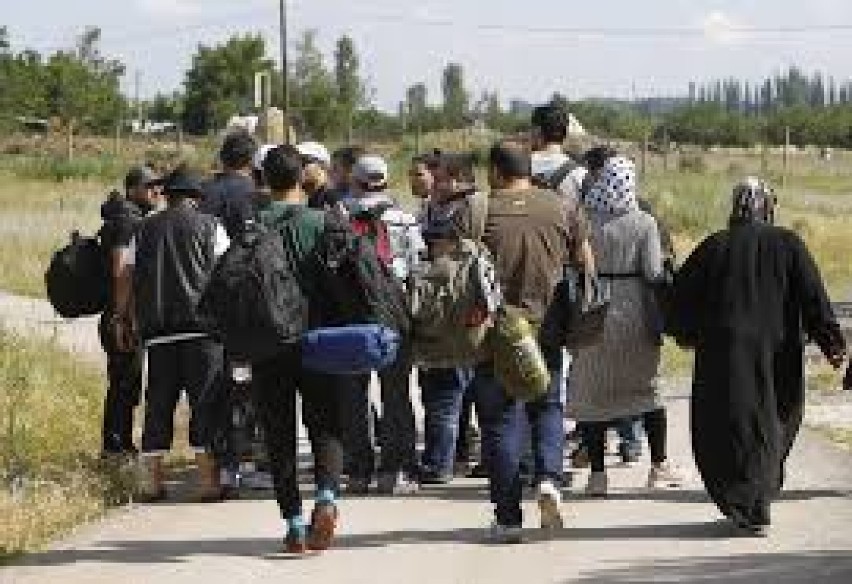 Syryjki w Pszczynie. Straż graniczna znalazła w tirze trzy syryjskie uciekinierki [WIDEO]