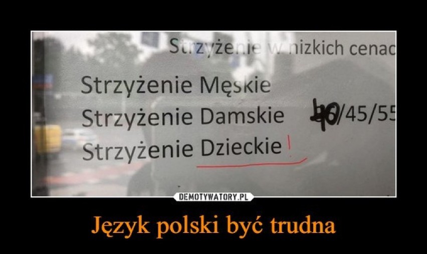 „Polska język, trudna język”, czyli Dzień Języka Ojczystego na wesoło. Zobacz najlepsze MEMY internautów o języku polskim