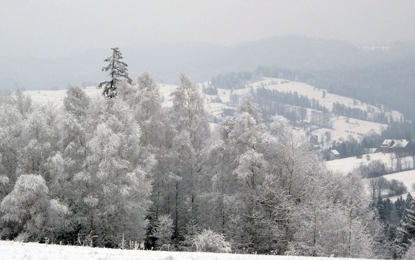 Widok z drogi do Zakopanego. W tle miejscowość Rdzawka.fot....