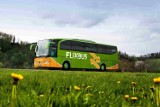 Nowe trasy FlixBusa: Gdańsk - Kaliningrad i Gdynia - Zakopane