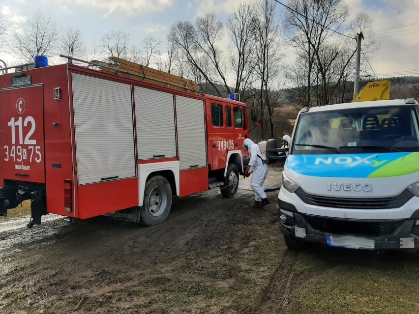 Gmina Chełmiec. Kolejne ognisko ptasiej grypy w regionie. Z życiem pożegnało się 19 tys. kur