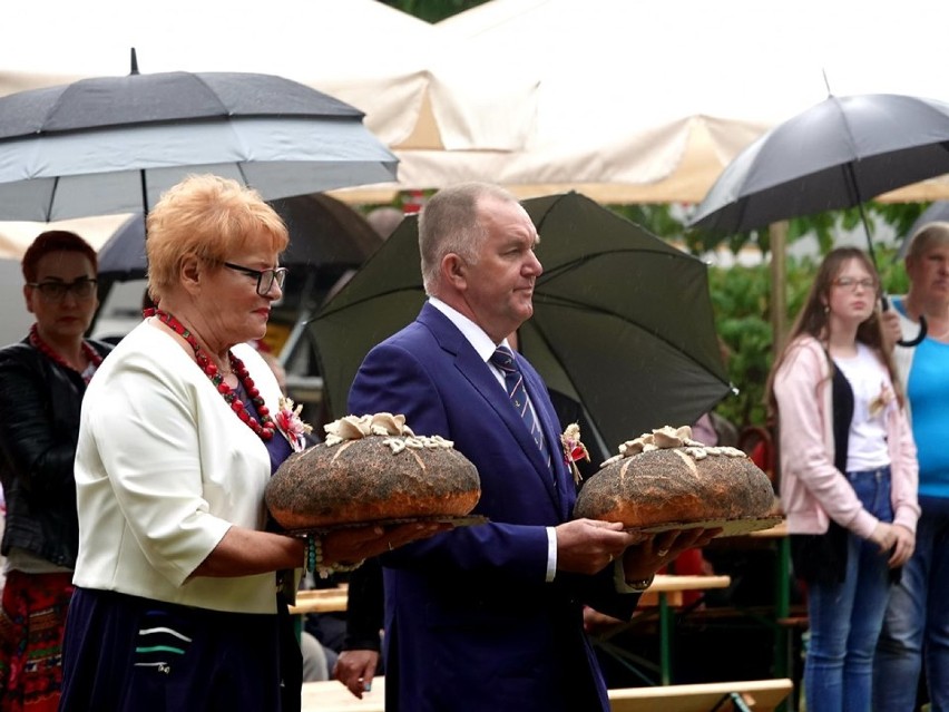 Za nami Dożynki Powiatowe i Gminne w Pakości [zdjęcia]