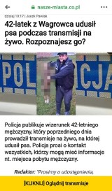 Wągrowiec. Policja ostrzega przed fałszywymi stronami internetowymi. Widzisz coś takiego? Nie klikaj! 