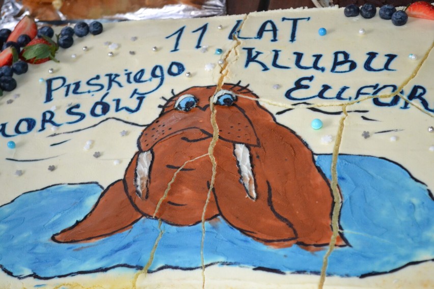 Pilski Klub Morsów Euforia obchodził 11. urodziny na Płotkach w Pile. Były: wspólna kąpiel, kwesta i tort z morsem! [ZDJĘCIA]