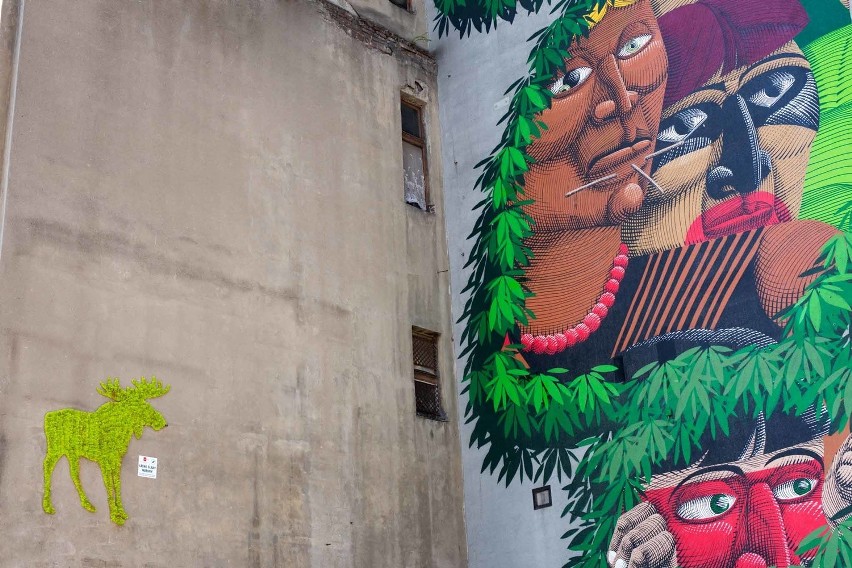 Murale z mchu są częścią akcji "Leśne ślady natury"