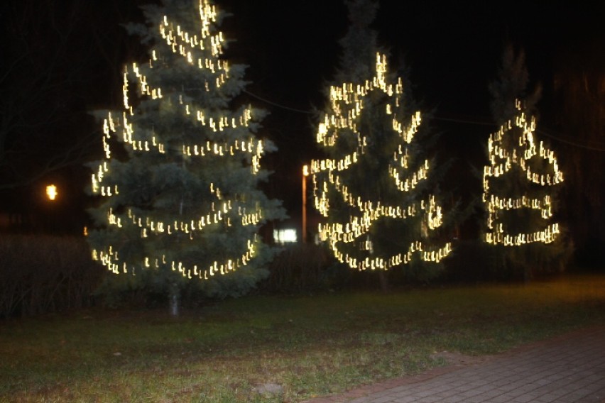 Świąteczne iluminacje oraz dekoracje w Radziejowie i okolicy [zdjęcia]