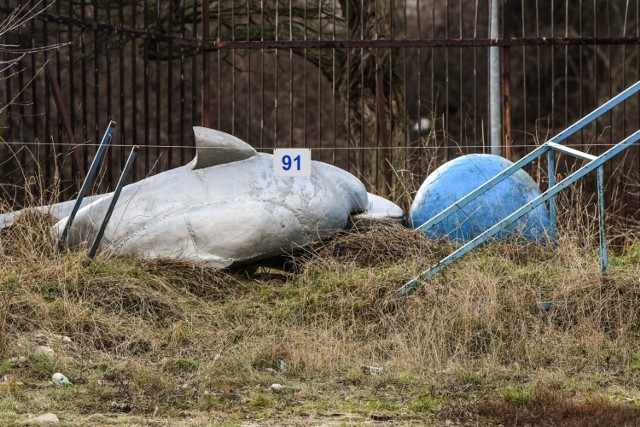 Nowa pływalnia nie była zbyt gościnna dla starych delfinów.