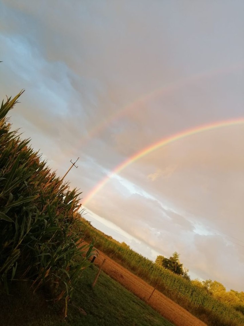 Tęcza nad Pleszewem i powiatem pleszewskim. Piękne zdjęcia naszych czytelników [GALERIA]