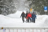Zamknięte szlaki do Morskiego Oka i Doliny Pięciu Stawów. Czwarty stopień zagrożenia lawinowego w Tatrach