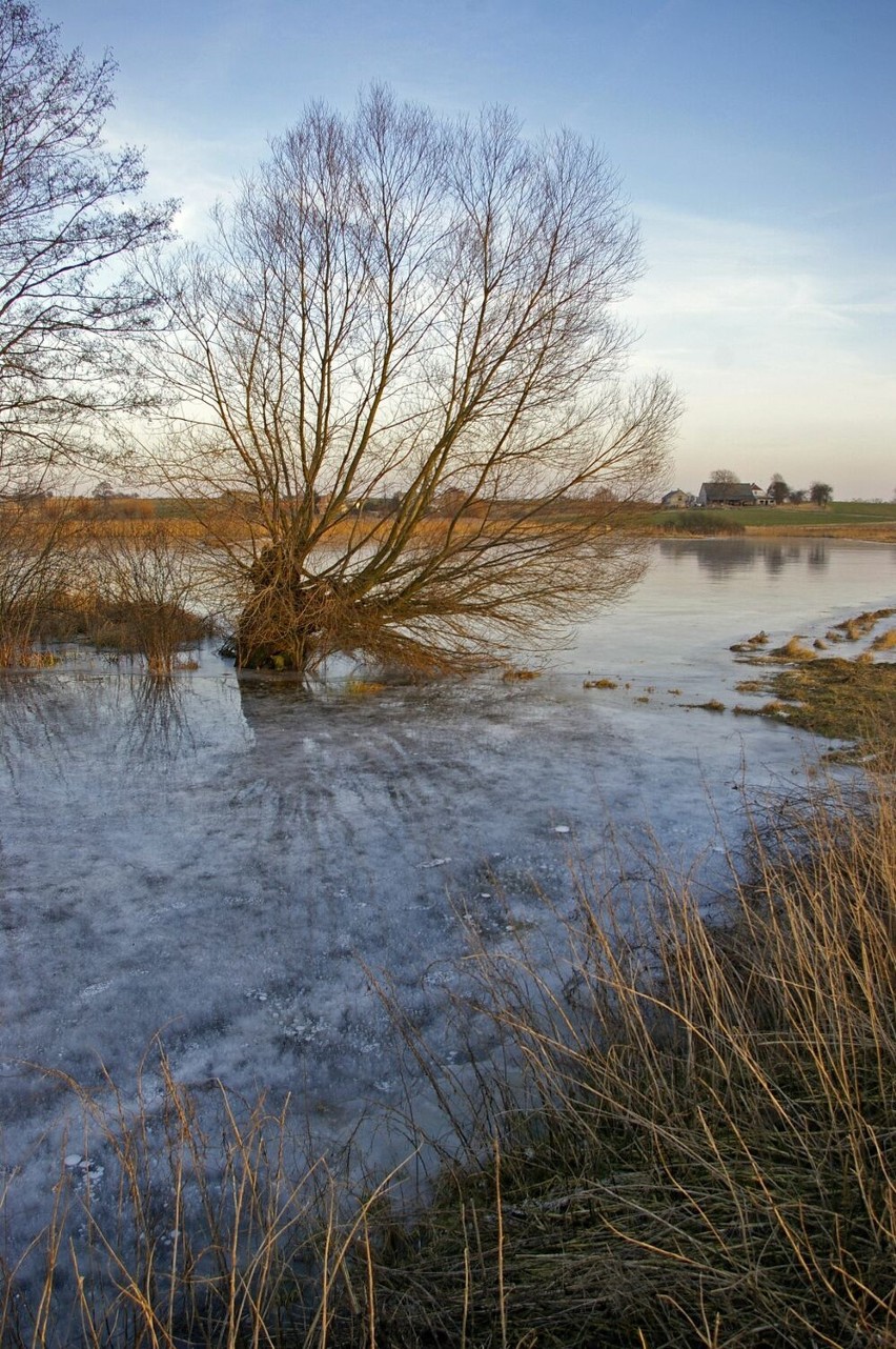 Które cieki wodne udrożnią melioranci w 2012 roku w gminie Chrzypsko Wielkie?