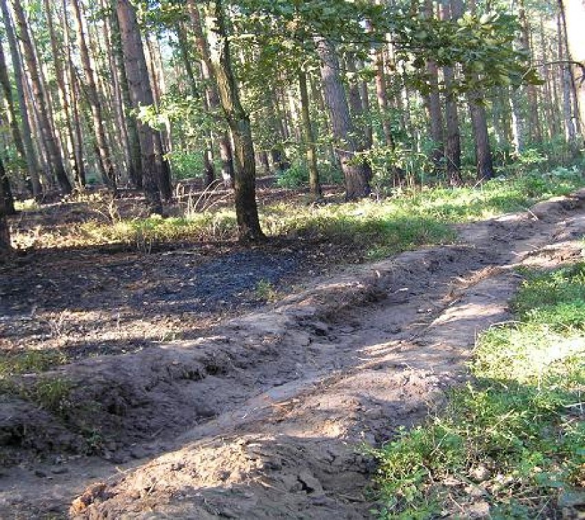 KP PSP w Kole apeluje o rozwagę w lasach