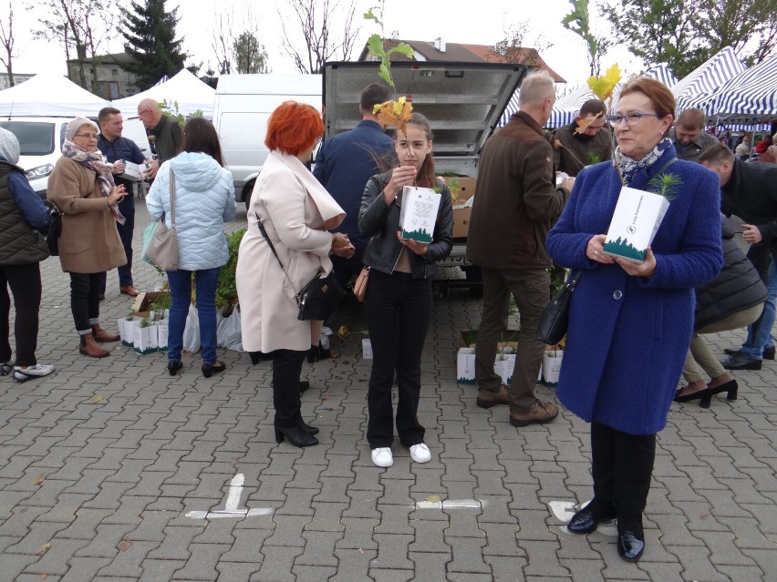 Poseł Anna Milczanowska rozdawała sadzonki drzew na miejskim targowisku w Radomsku. ZDJĘCIA