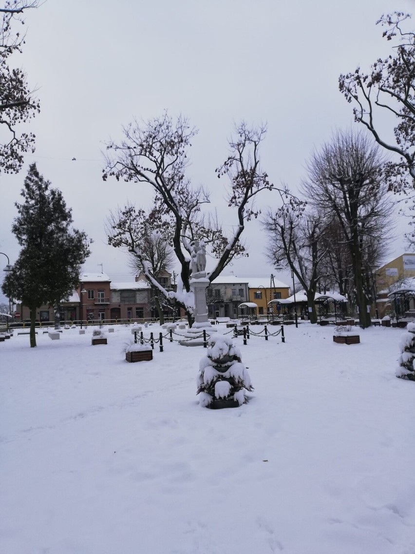 Zima we Włoszczowie! Mróz przemalował na biało drzewa i budynki. Jak pięknie tu zimową porą! Zobaczcie zdjęcia od naszej czytelniczki