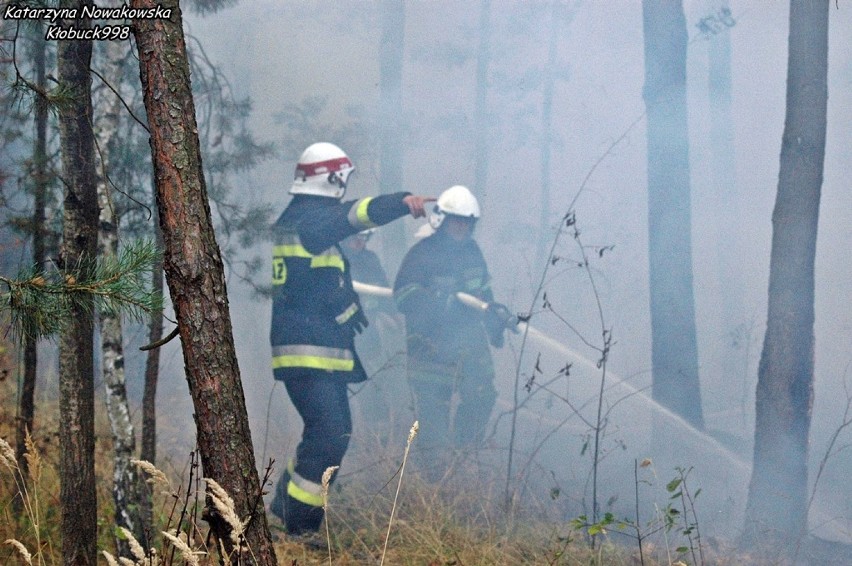 Krzepice: Pożary lasów