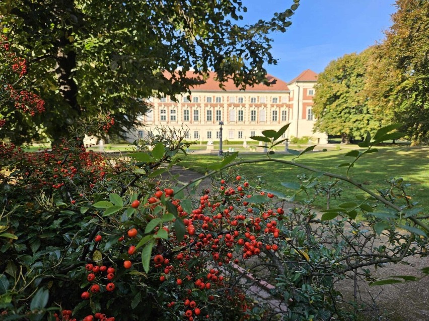 Muzeum - Zamek w Łańcucie zachęca do spacerów po urokliwym, jesiennym parku [ZDJĘCIA]