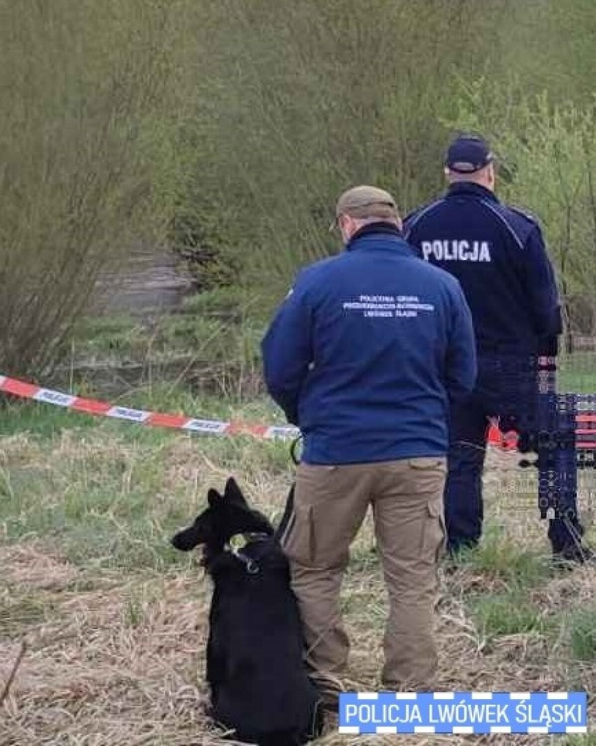 Tragiczny finał poszukiwań 24- letniego Dawida z Pilchowic. Policjanci odnaleźli ciało mężczyzny