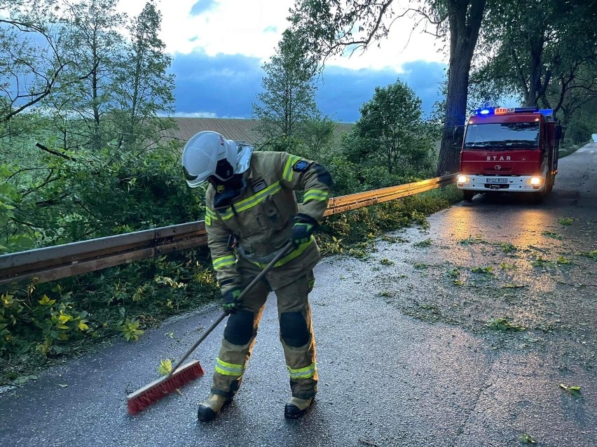 Powiat szamotulski. Negatywne skutki porywistych wiatrów [FOTO]