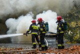 Pożar lasu w gminie Koronowo. Pięć zastępów strażaków walczy z ogniem