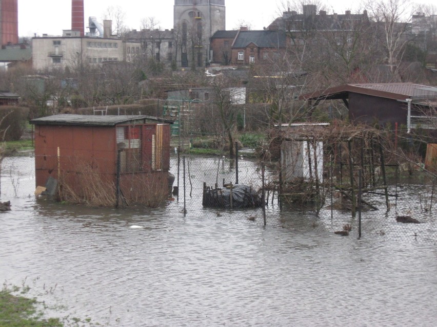 Rzeka Ochnia wylewa i zalewa ulicę Bałtycką