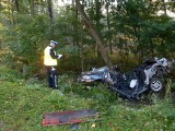 Śmiertelny wypadek w Występie koło Nakła. Volvo uderzyło w drzewo, kierowca nie przeżył [ZDJECIA]