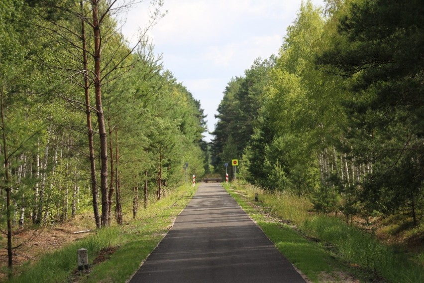 Ścieżka rowerowa na dawnych torach kolejowych w powiecie...