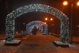 Świąteczny klimat w Jastrzębiu. Bożonarodzeniowe ozdoby i iluminacje prezentują się bardzo okazale - zobacz ZDJĘCIA