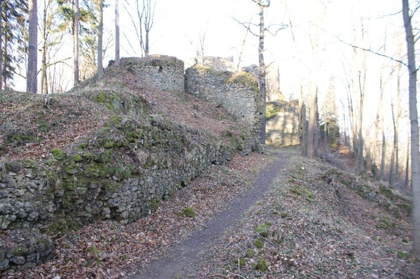 Ruiny zamku Cisy