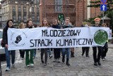 Strajk klimatyczny w Kaliszu. Młodzi aktywiści przeszli ulicami miasta ZDJĘCIA