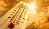 Temperaturowy rekord padł w naszym regionie. Było 38,2 st. C!